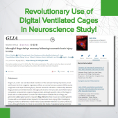 Revolutionary Use of Digital Ventilated Cages in Neuroscience Study